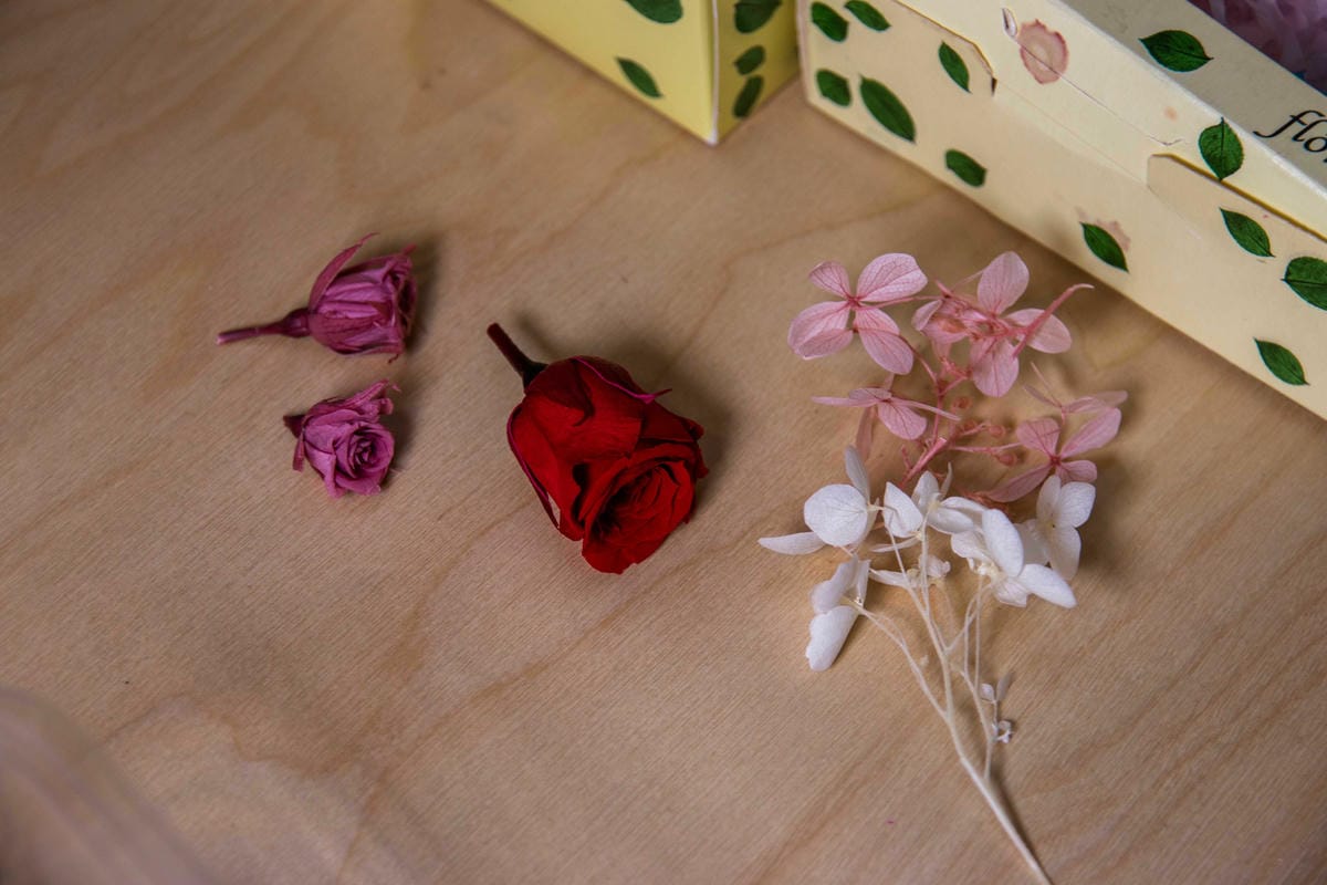 IMG_2726.JPG IMG_2726.JPG