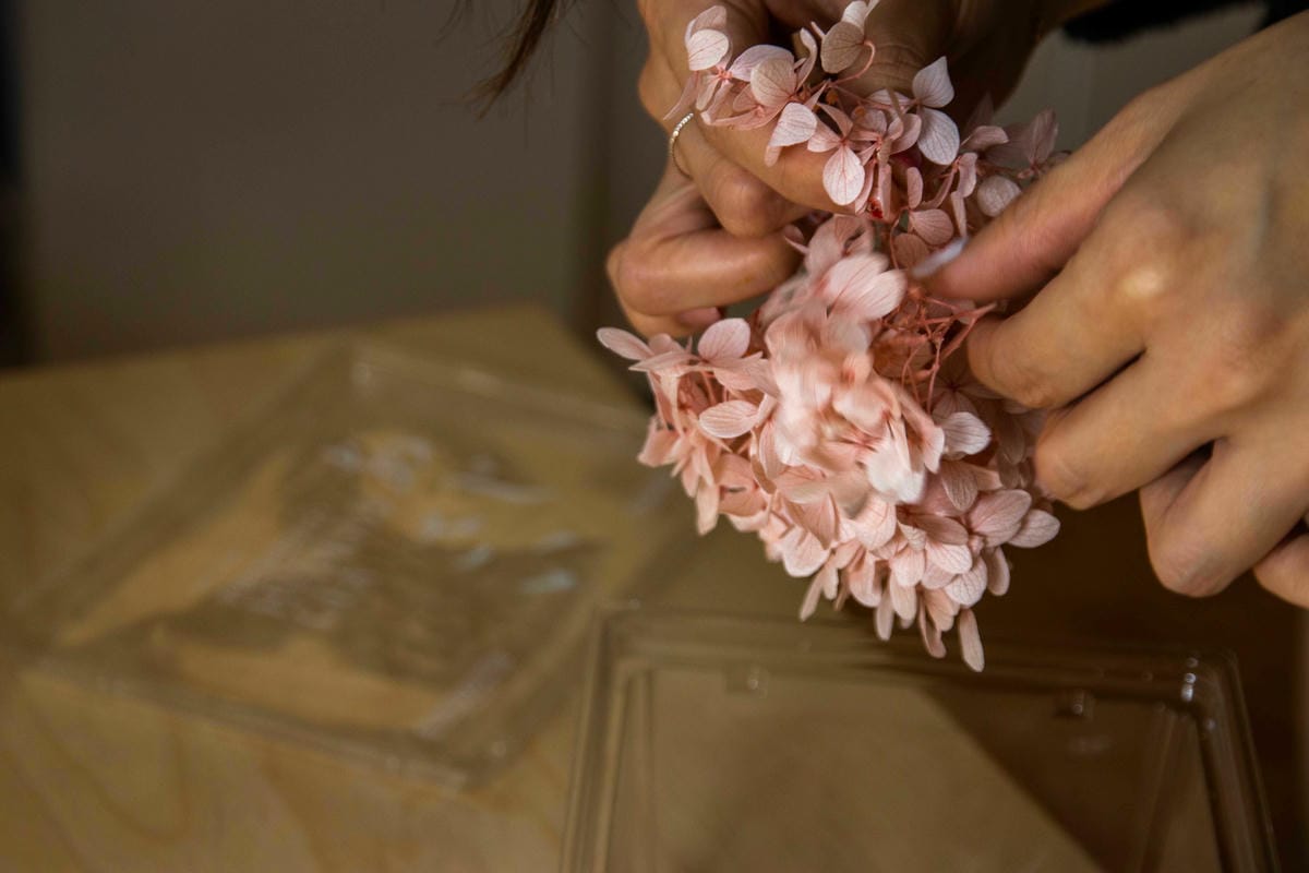 IMG_2729.JPG IMG_2729.JPG