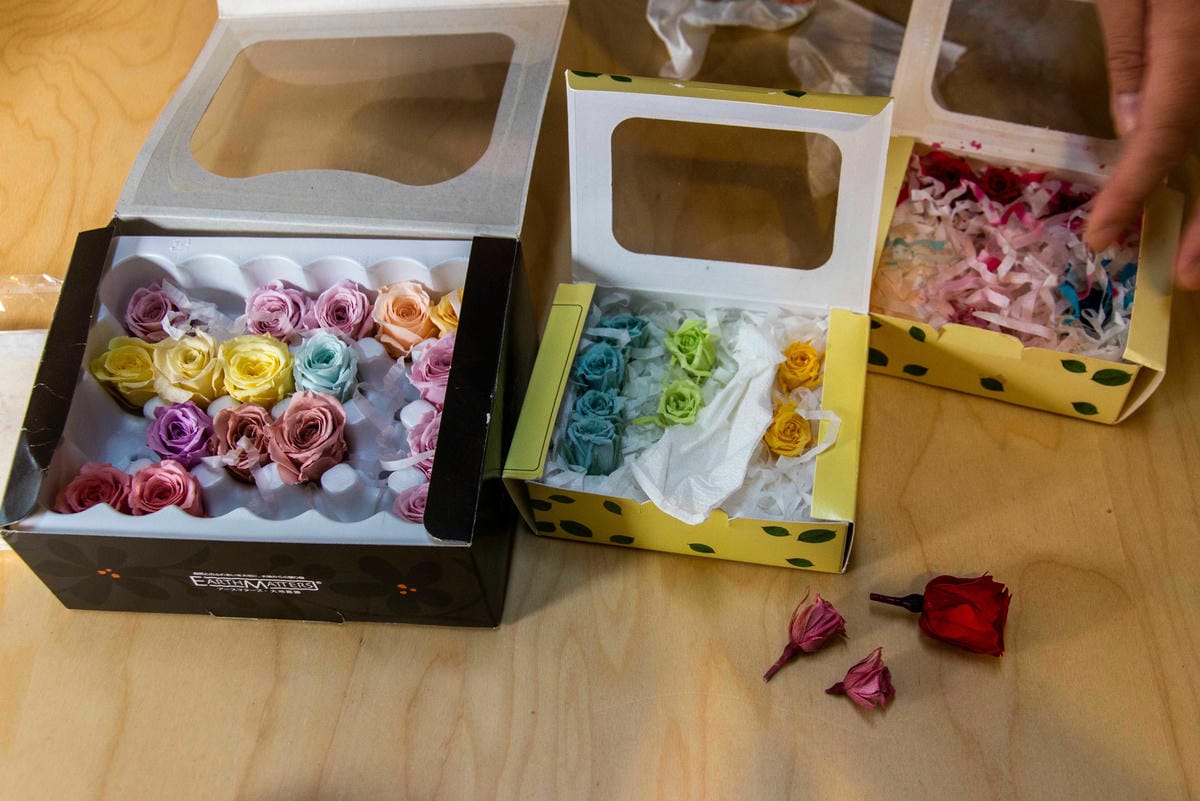 IMG_2725.JPG IMG_2725.JPG