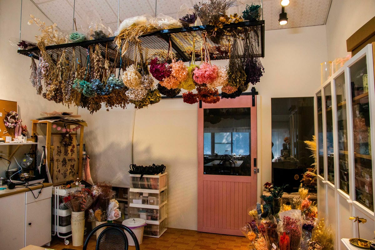 IMG_2705.JPG IMG_2705.JPG