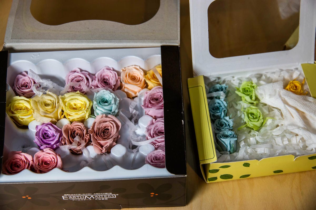 IMG_2723.JPG IMG_2723.JPG