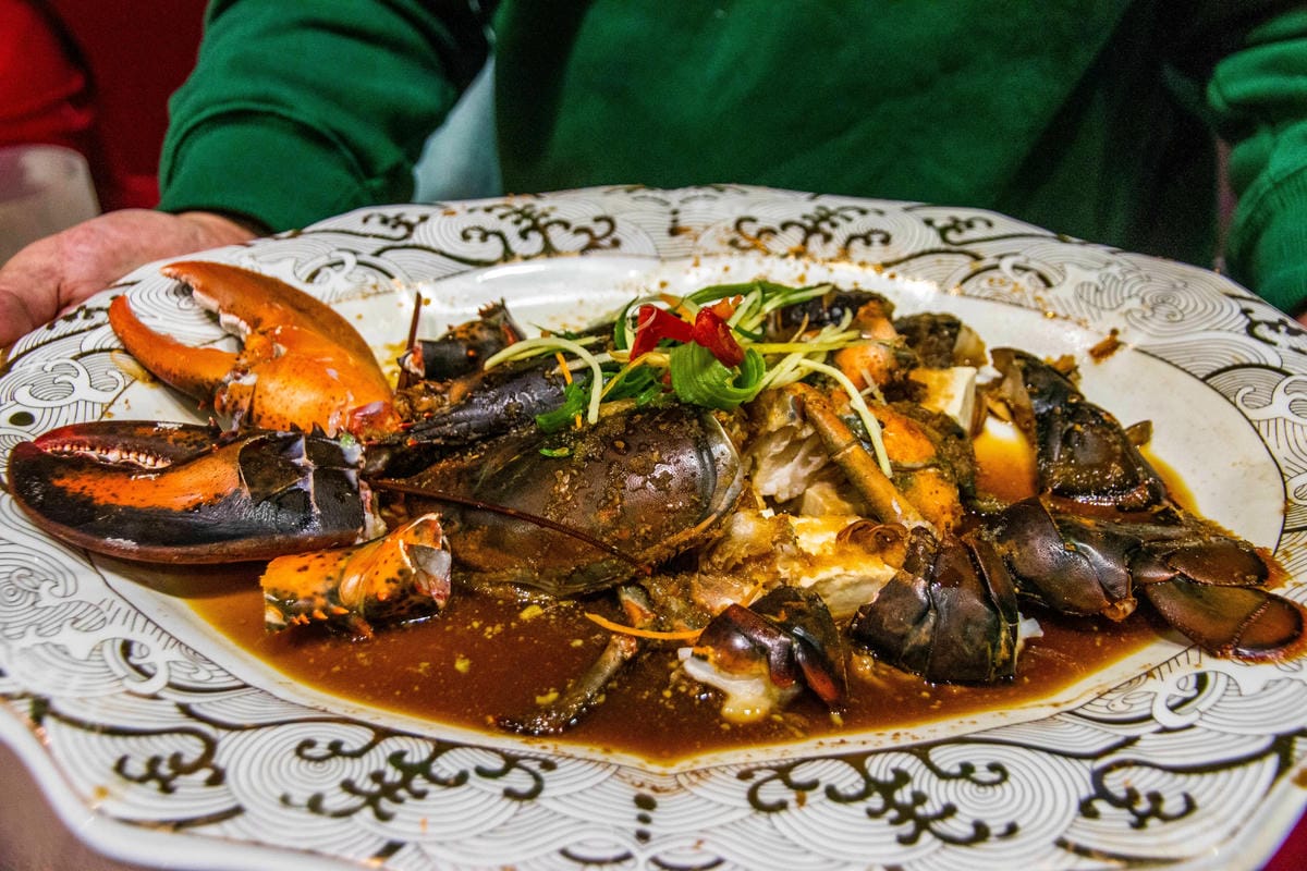 IMG_3351.JPG IMG_3351.JPG