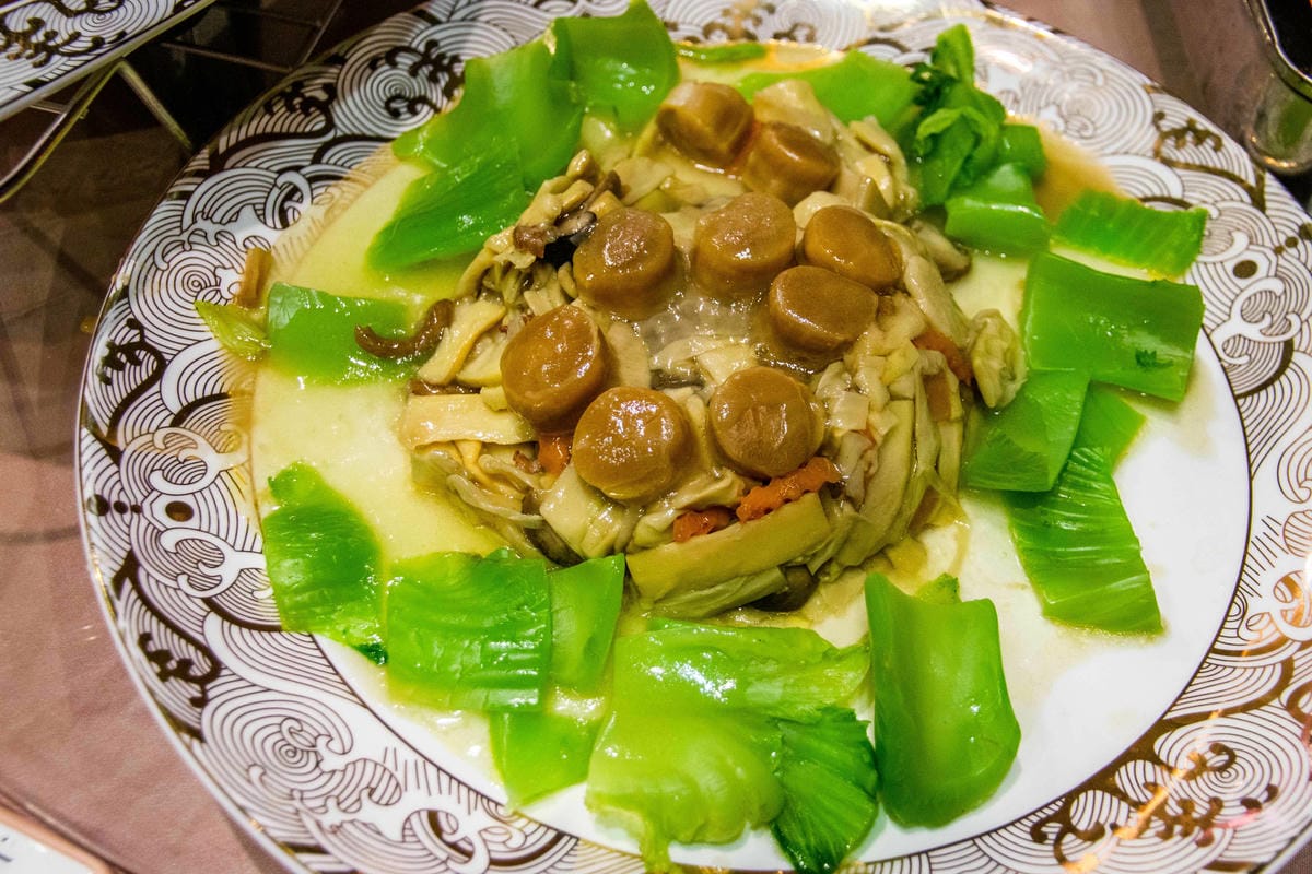 IMG_3347.JPG IMG_3347.JPG