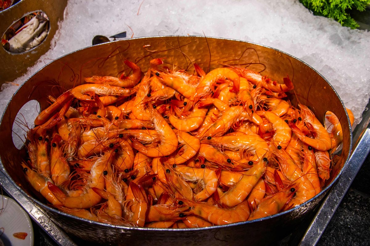 IMG_3881.JPG IMG_3881.JPG