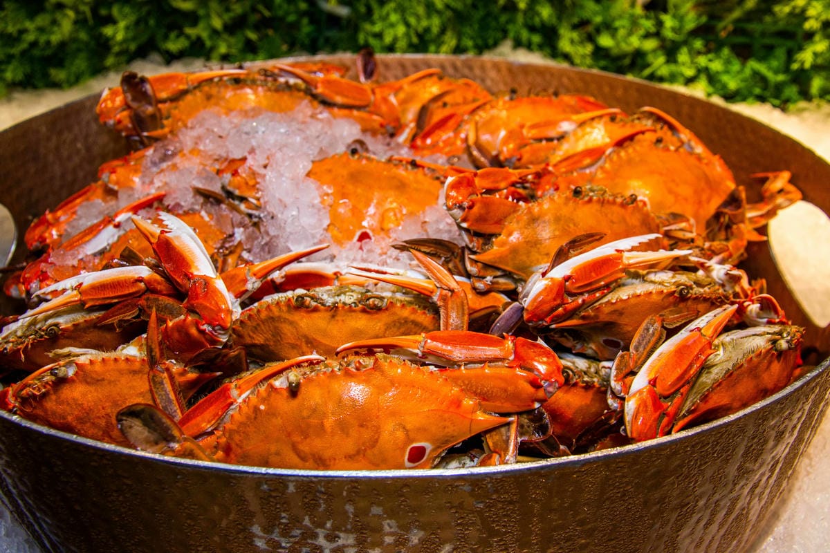 IMG_3793.JPG IMG_3793.JPG