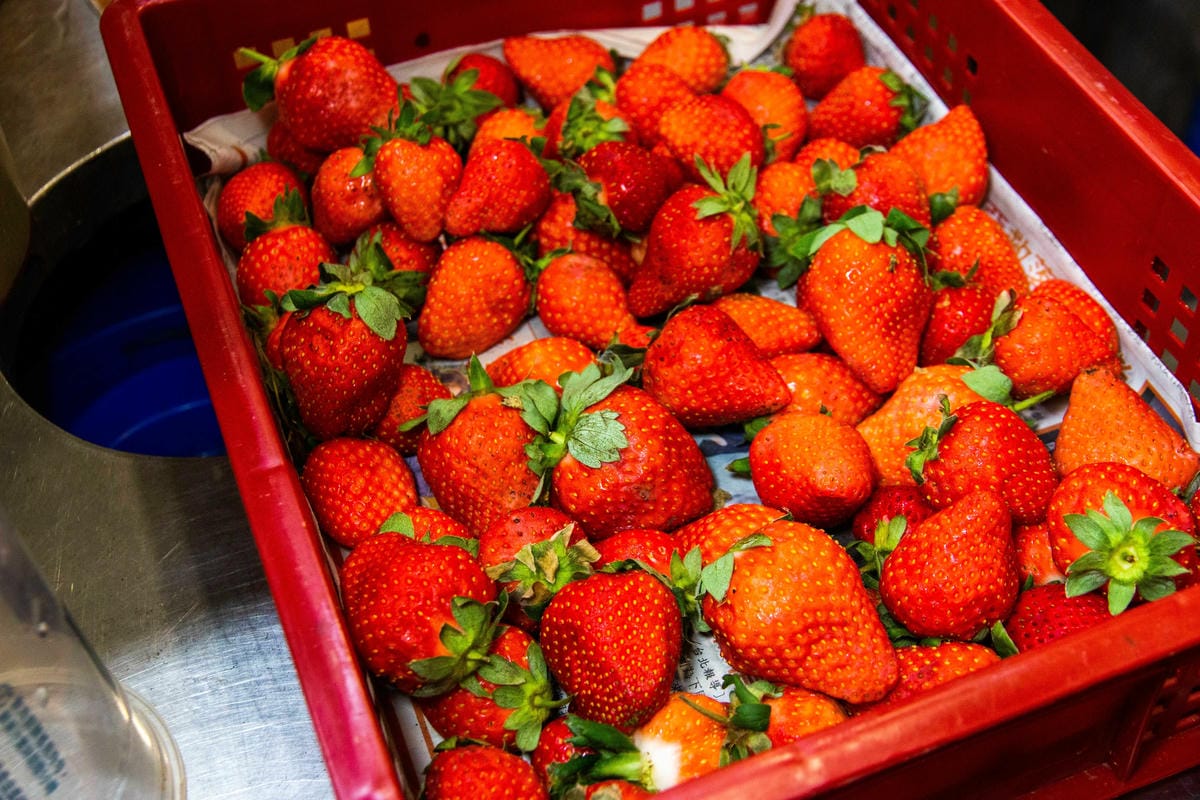 IMG_6906.JPG IMG_6906.JPG