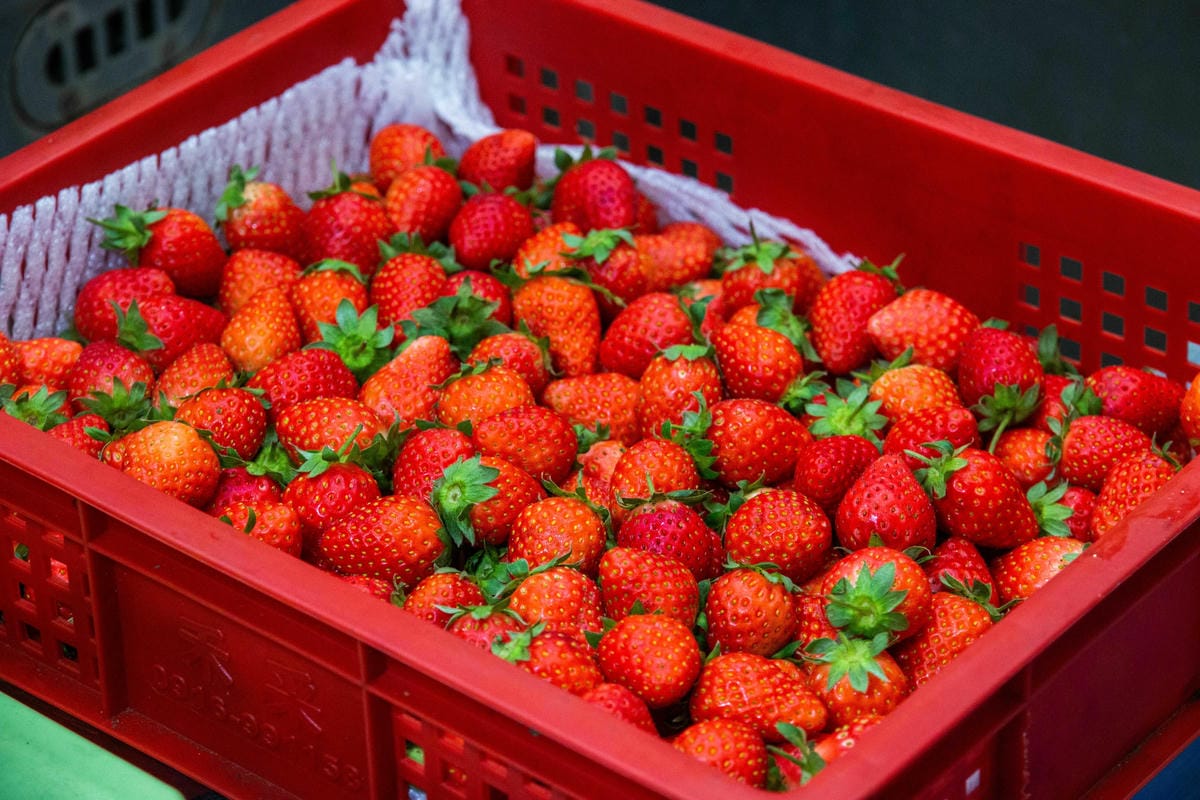 IMG_6909.JPG IMG_6909.JPG