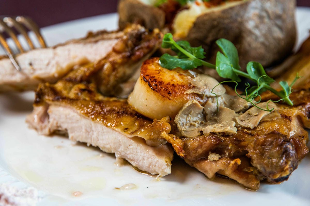 IMG_7102.JPG IMG_7102.JPG