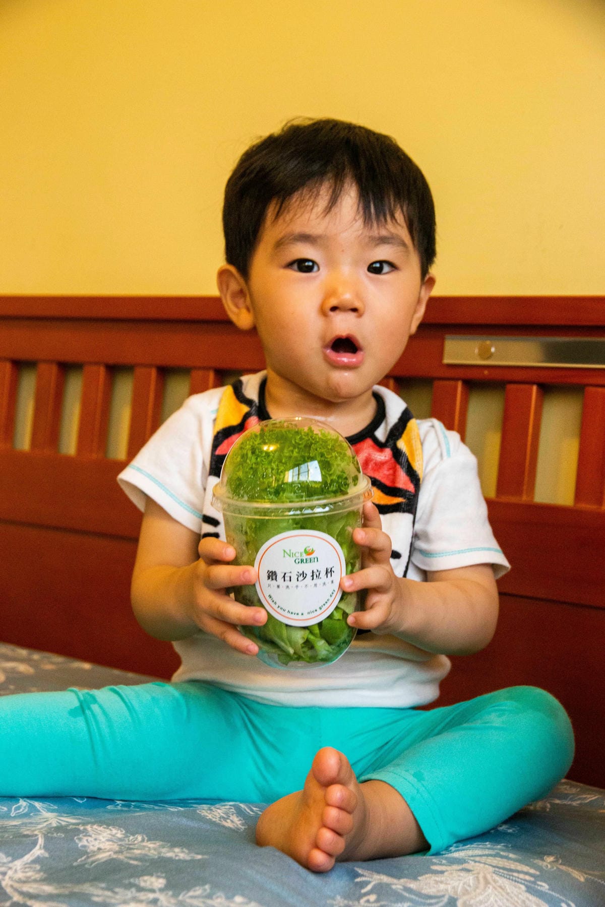 IMG_0366.JPG IMG_0366.JPG