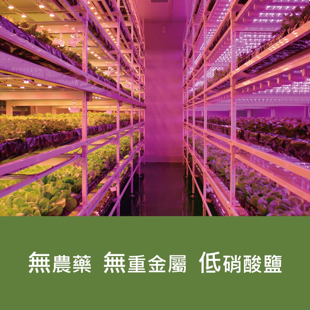 /tmp/phpSp64Eq /tmp/phpSp64Eq