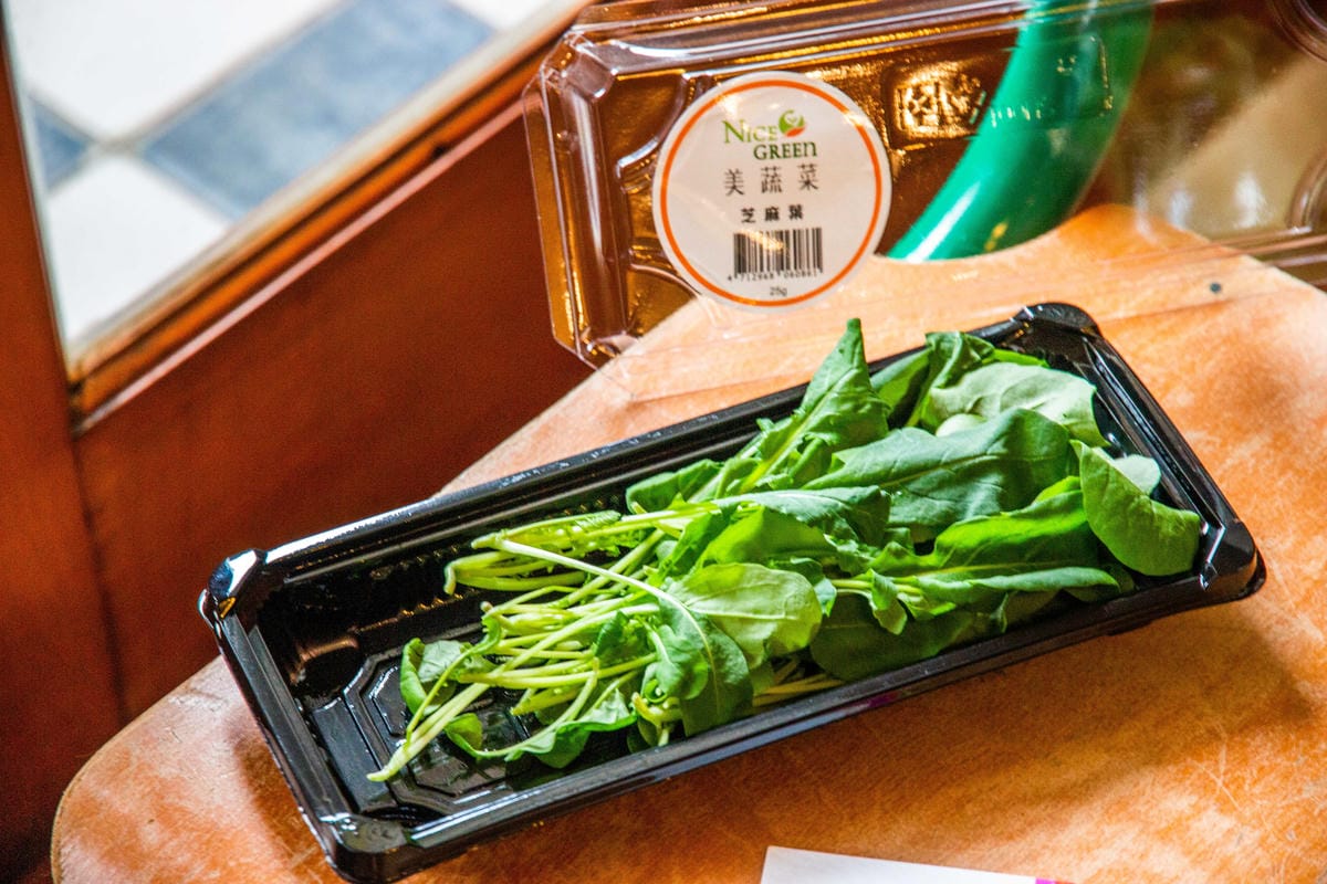 IMG_0383.JPG IMG_0383.JPG