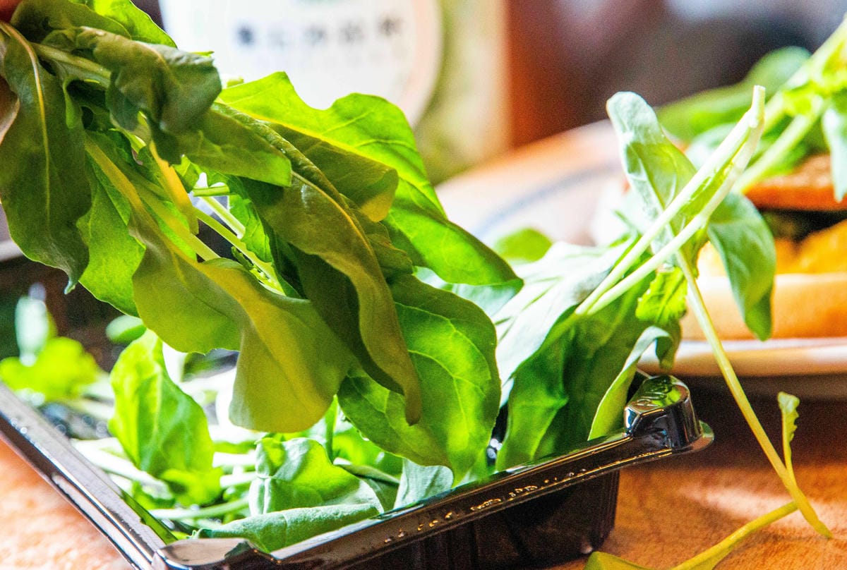 IMG_0449.JPG IMG_0449.JPG