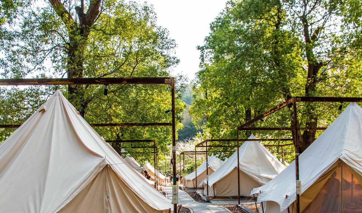 IMG_9566.JPG IMG_9566.JPG