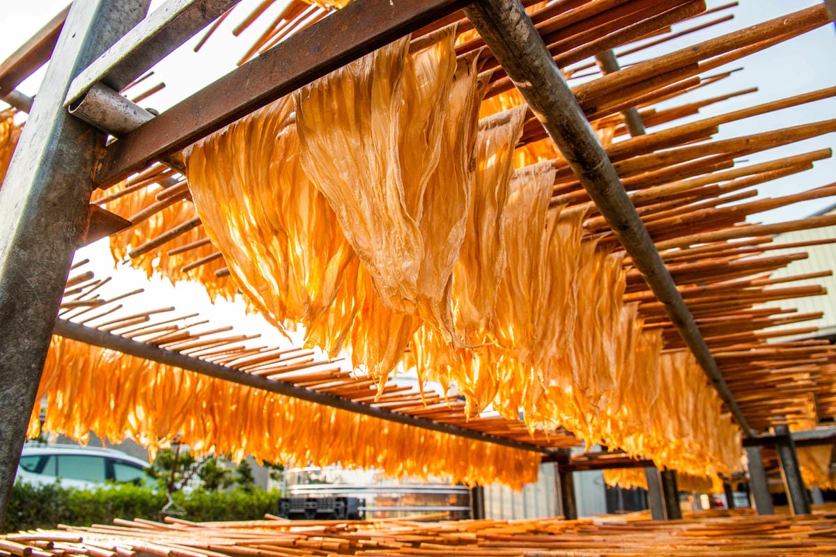 IMG_9598.JPG IMG_9598.JPG