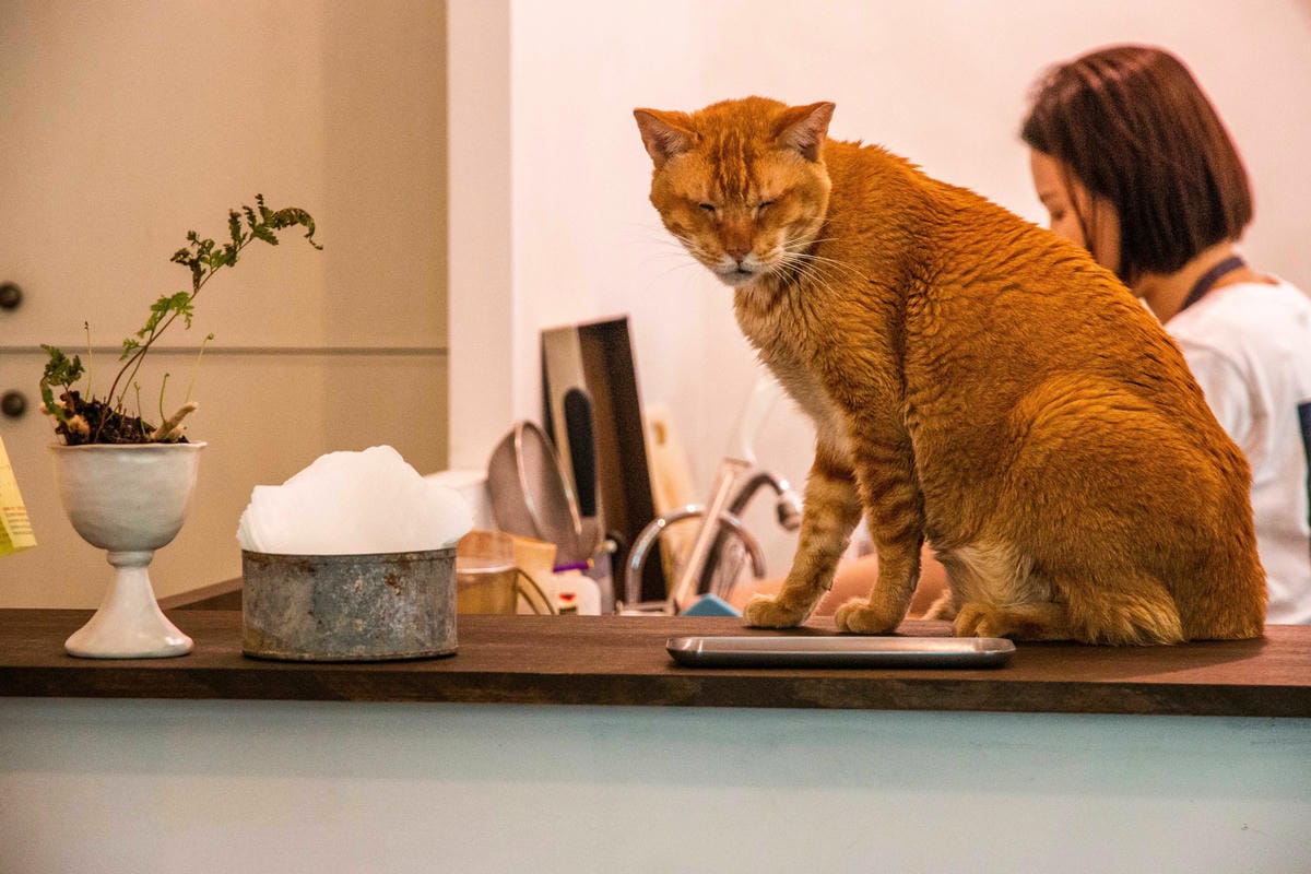 IMG_2466.JPG IMG_2466.JPG