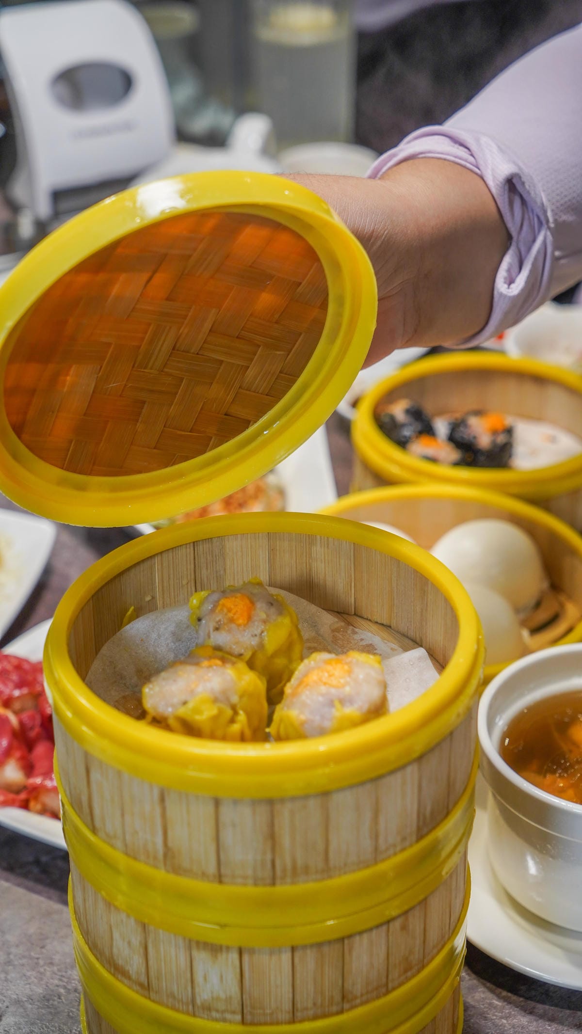 A7_02906.jpg A7_02906.jpg