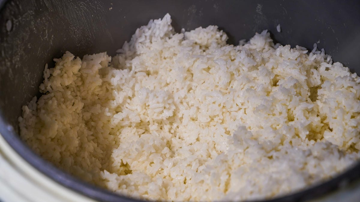 A7_03309.JPG A7_03309.JPG