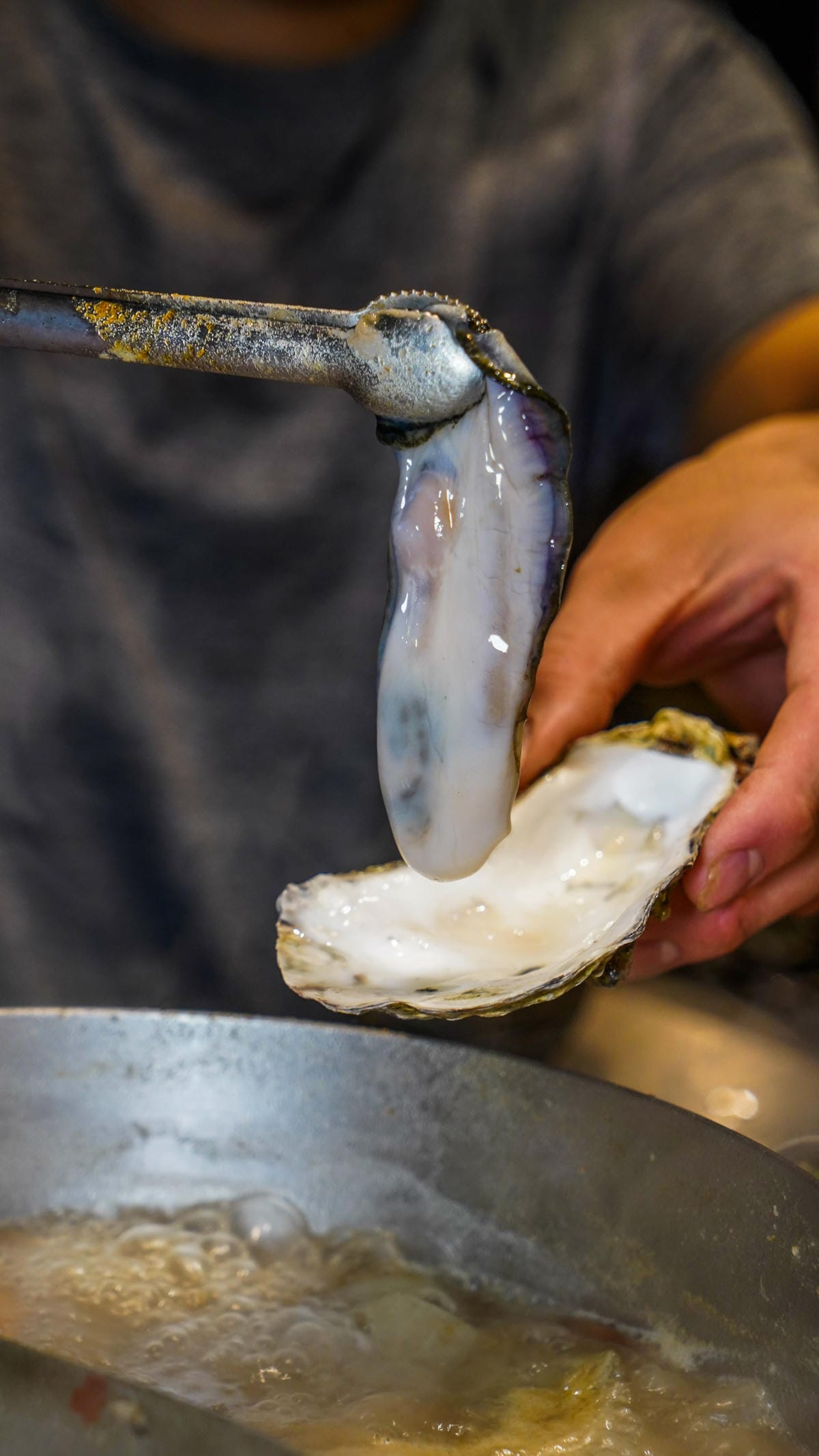 A7_03432.JPG A7_03432.JPG