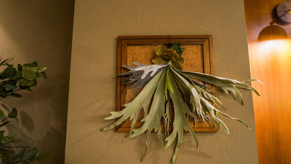 A7_04490.JPG A7_04490.JPG