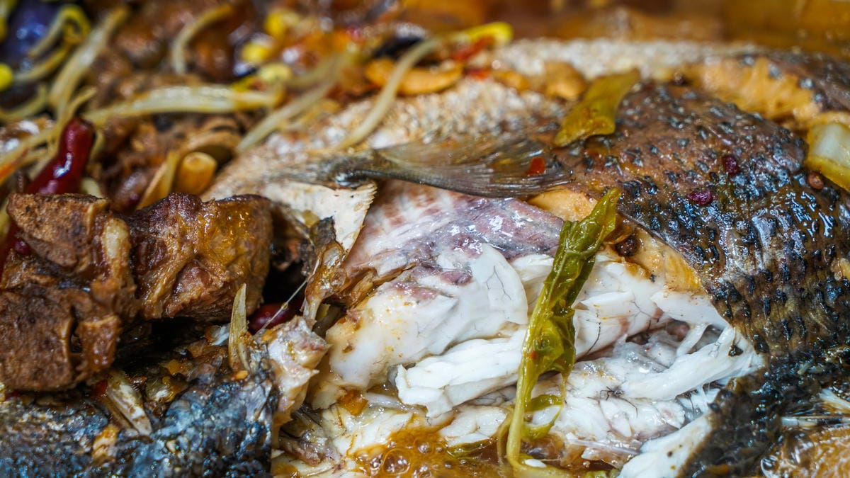 A7_05129.JPG A7_05129.JPG