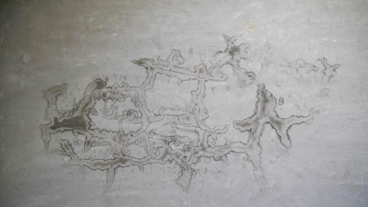 A7_08152.JPG A7_08152.JPG