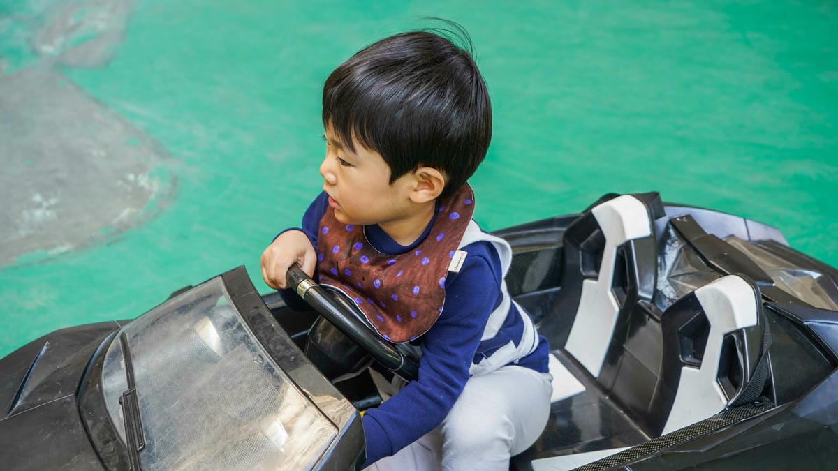 A7_08491.JPG A7_08491.JPG