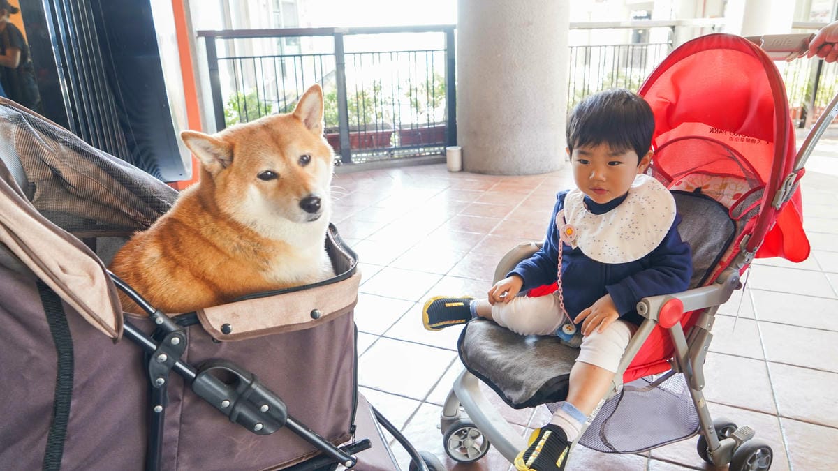 A7_08463.JPG A7_08463.JPG