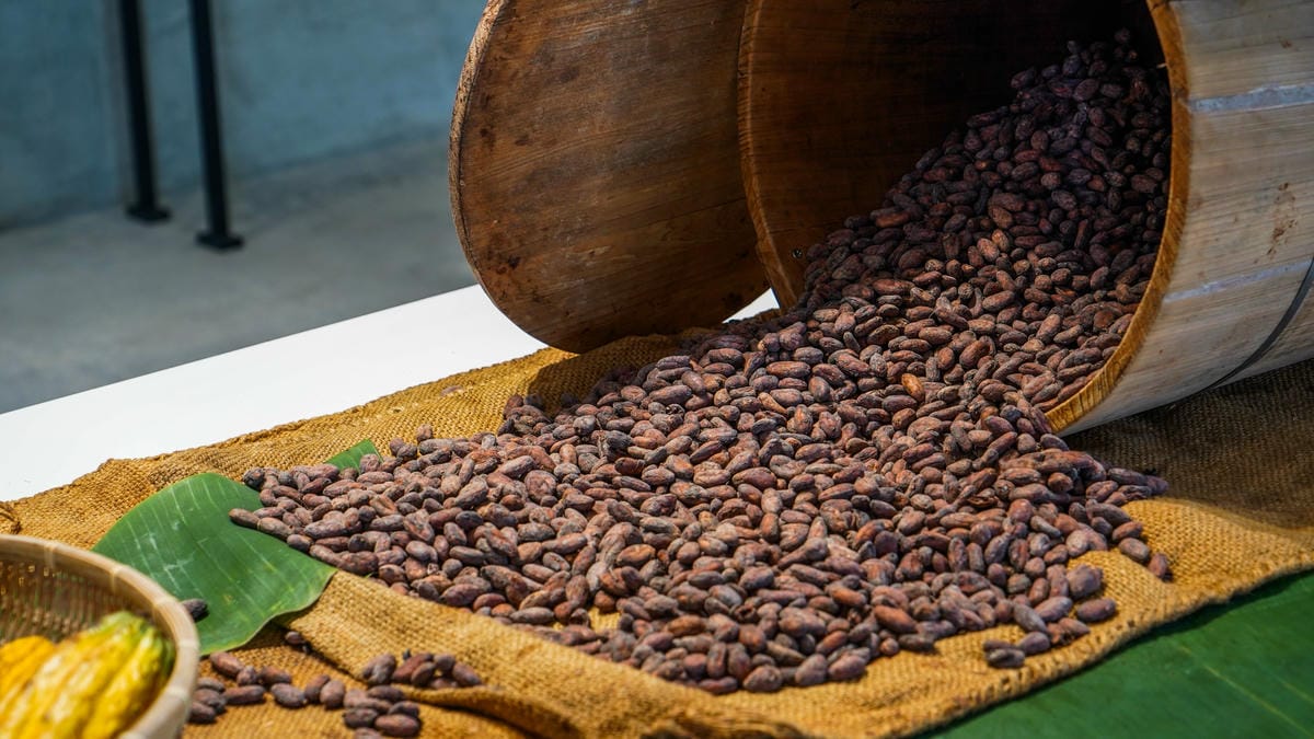 A7_05253.jpg A7_05253.jpg