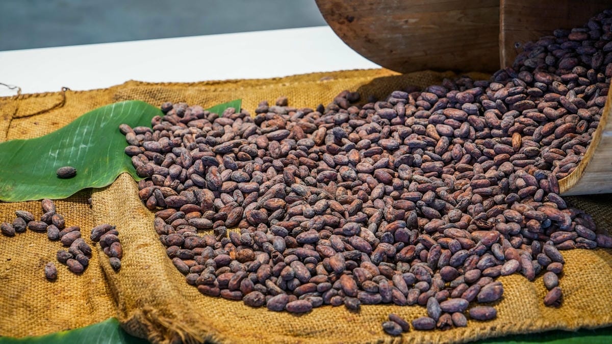 A7_05254.jpg A7_05254.jpg