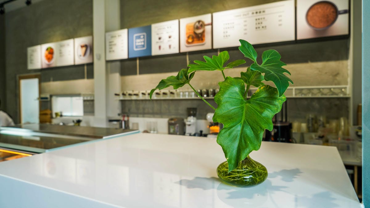 A7_05204.jpg A7_05204.jpg