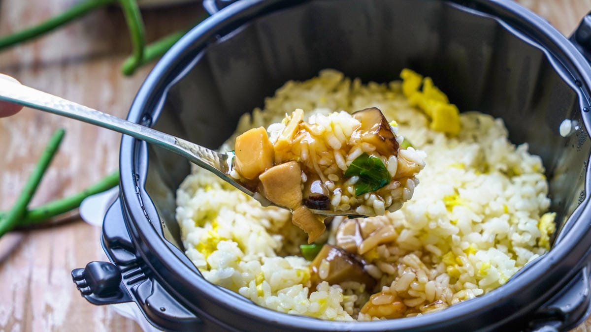 A7_09513.jpg A7_09513.jpg