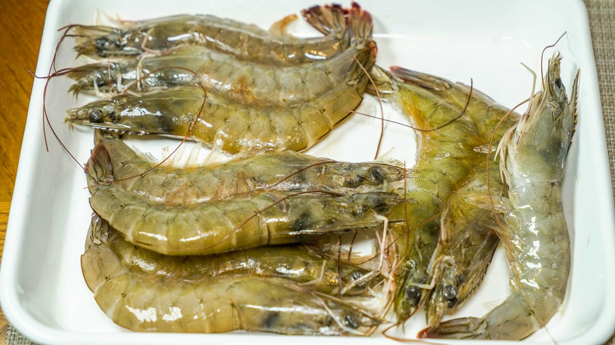 A7_01041.jpg A7_01041.jpg