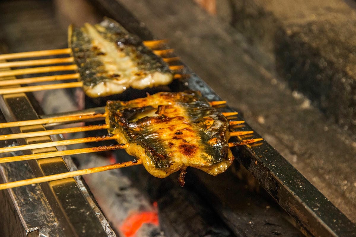 IMG_9719 (Copy).jpg IMG_9719 (Copy).jpg