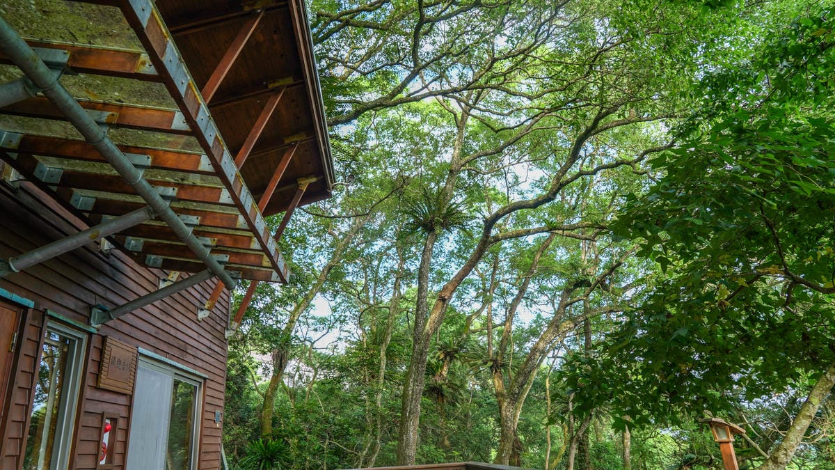 A7_02471.jpg A7_02471.jpg