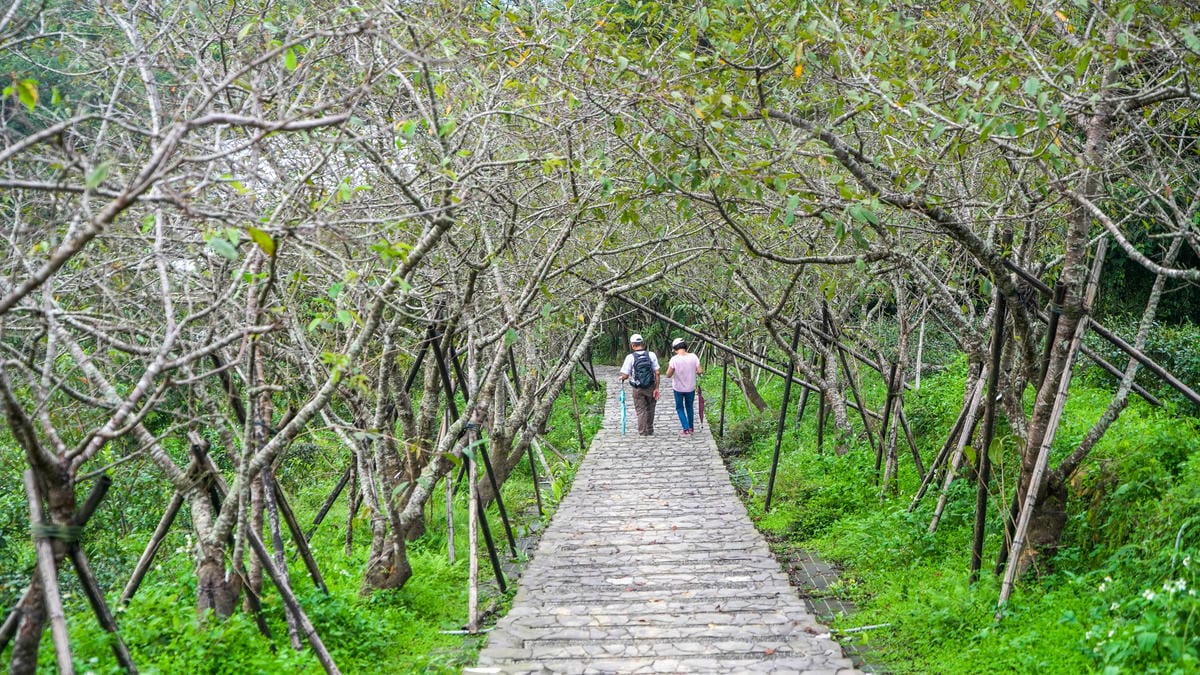 A7_02427.jpg A7_02427.jpg