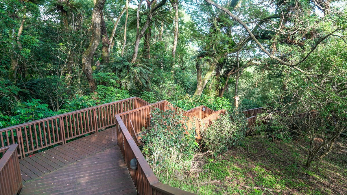 A7_02475.jpg A7_02475.jpg