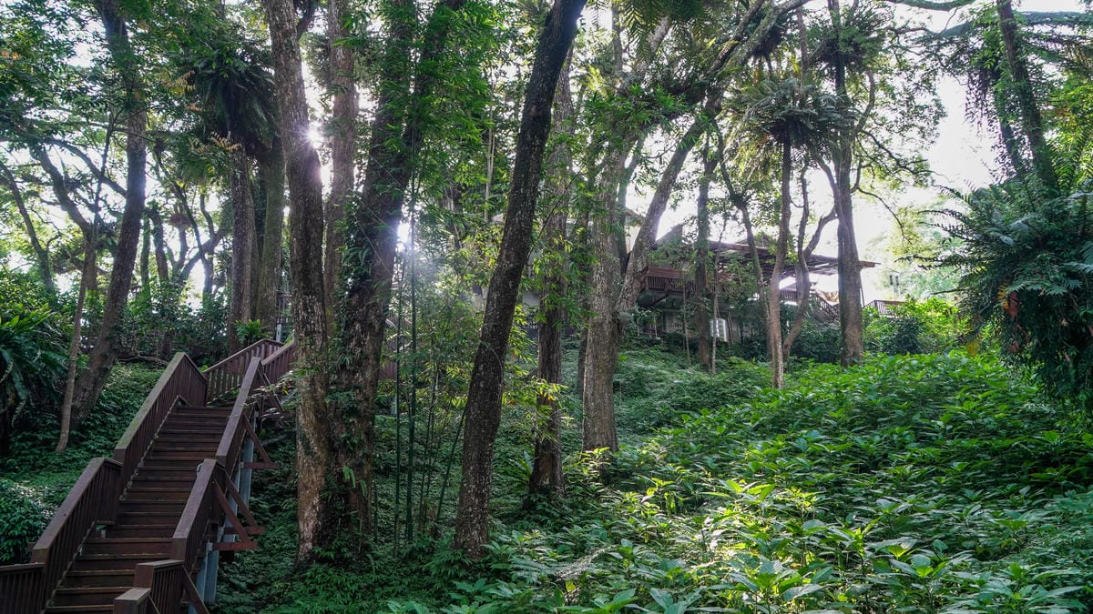 A7_02485.jpg A7_02485.jpg