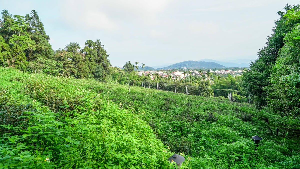 A7_02486.jpg A7_02486.jpg