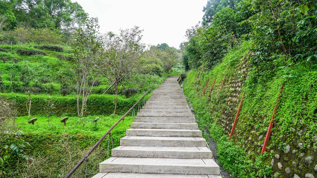 A7_02423.jpg A7_02423.jpg