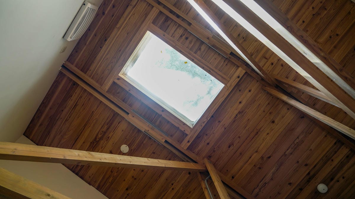 A7_02506.jpg A7_02506.jpg