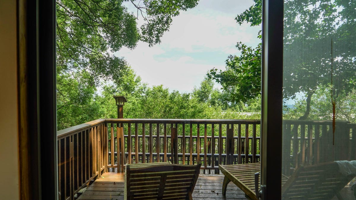 A7_02508.jpg A7_02508.jpg