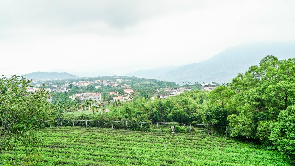 A7_02403.jpg A7_02403.jpg