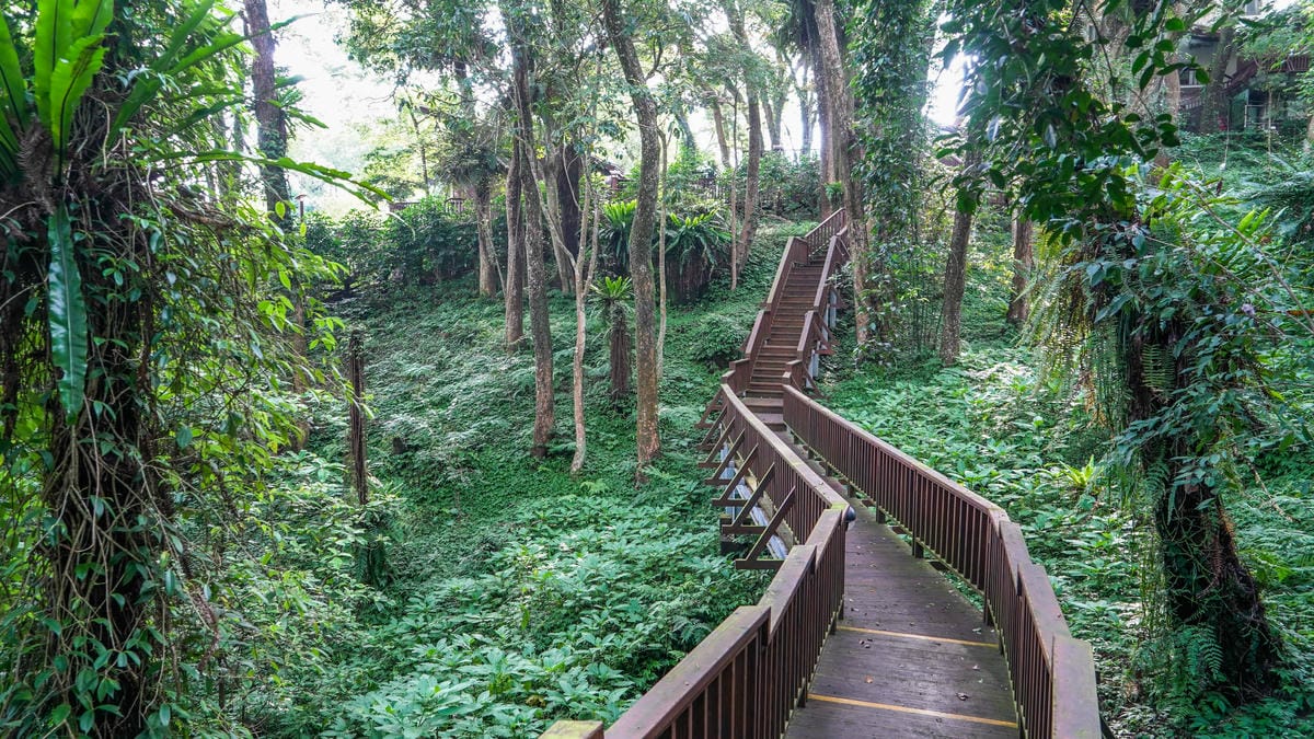 A7_02491.jpg A7_02491.jpg