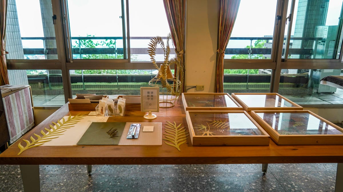 A7_02402.jpg A7_02402.jpg