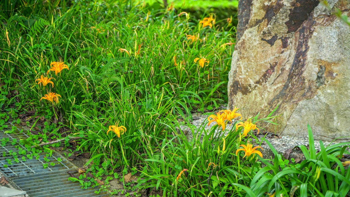 A7_02522.jpg A7_02522.jpg