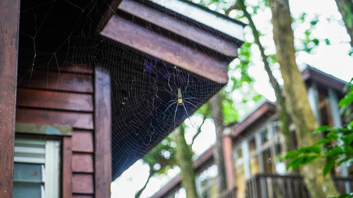 A7_02516.jpg A7_02516.jpg