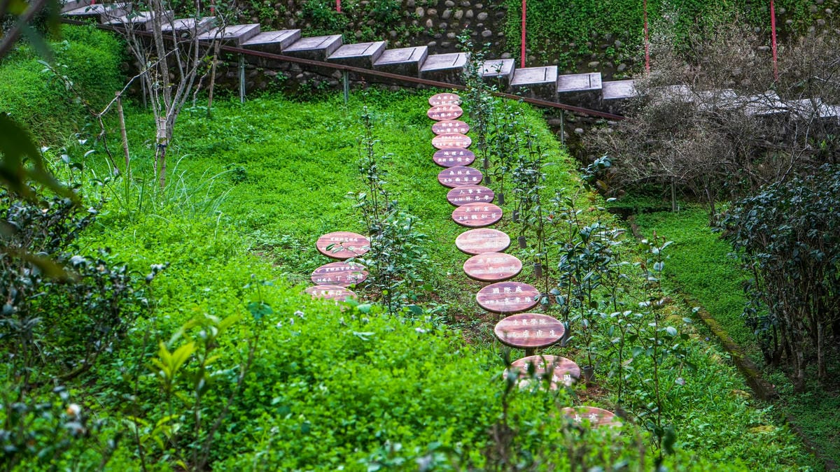 A7_02431.jpg A7_02431.jpg