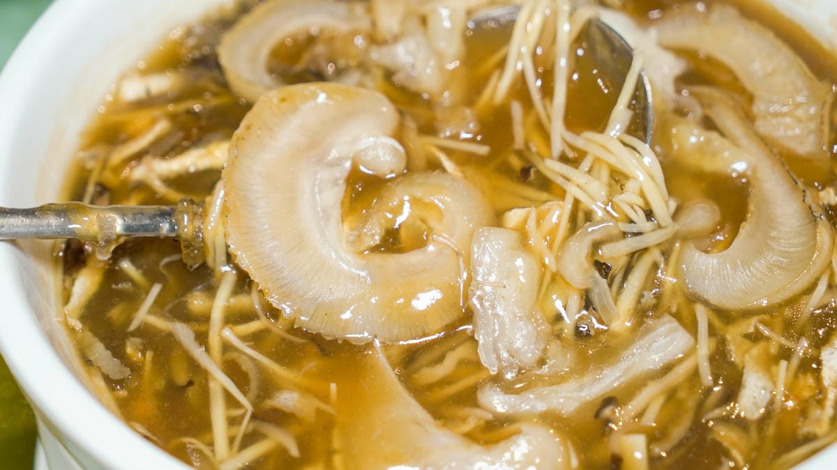 /tmp/php20y2Qa /tmp/php20y2Qa