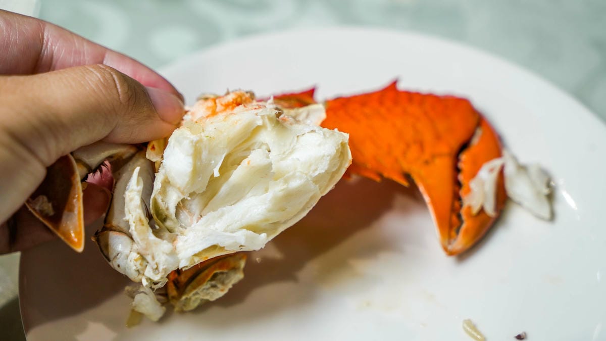 A7_00752.jpg A7_00752.jpg