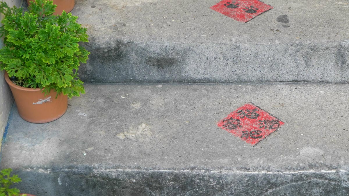 A7_05041.jpg A7_05041.jpg